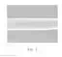 Fig. 08 - COMPOSITE CARBON NANOTUBE STRUCTURE