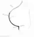 Fig. 01 - BRASSIERE CUP
