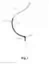 Fig. 02 - BRASSIERE CUP