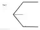 Fig. 04 - Seafood Spitter