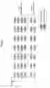 Fig. 04 - CONTROLLER, RADIO NETWORK CONTROLLER, BASE STATION APPARATUS, AND COMMUNICATION CONTROL METHOD