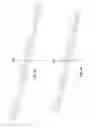 Fig. 02 - OLIGONUCLEOTIDES CAPABLE OF DISCRIMINATING BETWEEN NUCLEIC ACID SEQUENCES THAT COMPRISE A CONSERVED SEQUENCE
