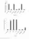 Fig. 06 - System for screening agonists/antagonists of cellular signaling pathways
