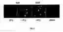 Fig. 07 - Synthetic protease substrates, assay methods using such substrates and kits for practicing the assay