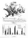 Fig. 02 - Stable, functional chimeric cellobiohydrolase class I enzymes