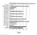 Fig. 02 - ANTIOXIDANT AGENT