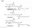 Fig. 03 - Compounds That Bind Oxysterol Binding Proteins, and Methods of Use Thereof