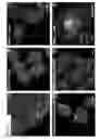 Fig. 23 - Compounds That Bind Oxysterol Binding Proteins, and Methods of Use Thereof