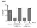 Fig. 24 - Compounds That Bind Oxysterol Binding Proteins, and Methods of Use Thereof
