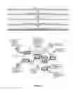 Fig. 02 - Methods of treating optic disorders