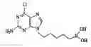 Fig. 01 - Method of including apoptosis/Cell death in leukemia cell using a purine nucleoside analogue