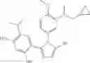 Fig. 897 - Method for treating non-Hodgkin's lymphoma