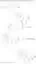 Fig. 265 - Triazole compounds that modulate HSP90 activity