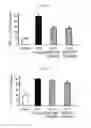 Fig. 06 - Benzoarylureido compounds, and composition for prevention or treatment of neurodegenerative brain disease containing the same