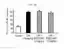 Fig. 07 - Benzoarylureido compounds, and composition for prevention or treatment of neurodegenerative brain disease containing the same