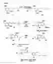 Fig. 04 - SCHWEINFURTHIN ANALOGUES