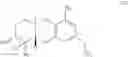 Fig. 07 - SCHWEINFURTHIN ANALOGUES
