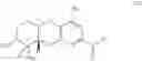 Fig. 09 - SCHWEINFURTHIN ANALOGUES