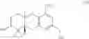 Fig. 22 - SCHWEINFURTHIN ANALOGUES
