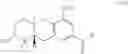 Fig. 35 - SCHWEINFURTHIN ANALOGUES