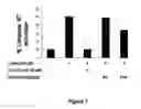 Fig. 08 - NEUROPROTECTIVE COMPOUNDS