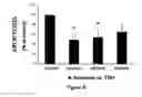Fig. 09 - NEUROPROTECTIVE COMPOUNDS
