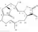 Fig. 02 - Composition Having Anti-Helicobacter Pylori Activity And Its Application To Inhibit Helicobacter Pylori