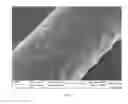 Fig. 06 - POLYAMIDE-POLY(ARYLENE ETHER) FIBER AND METHOD FOR ITS PREPARATION