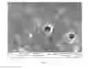 Fig. 08 - POLYAMIDE-POLY(ARYLENE ETHER) FIBER AND METHOD FOR ITS PREPARATION