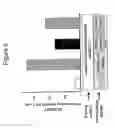 Fig. 07 - Tumour cell lines and uses thereof
