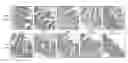 Fig. 01 - Flagellin related polypeptides and uses thereof