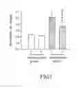 Fig. 02 - BENZOXAZINONE COMPOUND, METHOD FOR PRODUCING THE SAME, AND PHARMACEUTICAL COMPOSITION CONTAINING THE SAME