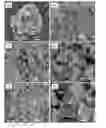 Fig. 01 - Organometallic catalyst and preparation thereof