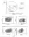 Fig. 09 - Implantable systems and methods for identifying a contra-ictal condition in a subject
