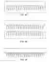 Fig. 05 - Apparatus and Method for Measuring Physiological Functions