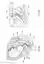 Fig. 07 - PHARMACEUTICAL COMPOSITION AND SYSTEM FOR PERMEABILIZING FETAL MEMBRANES