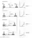 Fig. 13 - APPARATUS AND METHOD FOR MEASURING IN VIVO BIOMECHANICAL PROPERTIES OF SKIN