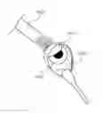 Fig. 01 - Convective Energy Transfer into the Eye