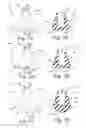 Fig. 08 - MEDICAL PRESSURE APPLICATOR DEVICE