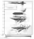 Fig. 01 - Migration Velocity Analysis of Seismic Data Using Common Image Cube and Green's Functions