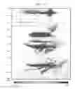 Fig. 12 - Migration Velocity Analysis of Seismic Data Using Common Image Cube and Green's Functions