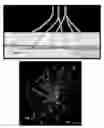 Fig. 22 - METHOD AND SYSTEM FOR DYNAMIC, THREE-DIMENSIONAL GEOLOGICAL INTERPRETATION AND MODELING