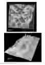 Fig. 40 - METHOD AND SYSTEM FOR DYNAMIC, THREE-DIMENSIONAL GEOLOGICAL INTERPRETATION AND MODELING