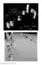 Fig. 44 - METHOD AND SYSTEM FOR DYNAMIC, THREE-DIMENSIONAL GEOLOGICAL INTERPRETATION AND MODELING
