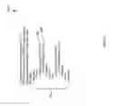 Fig. 07 - Method and apparatus for processing order related messages