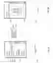 Fig. 03 - Location in search queries