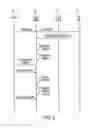 Fig. 10 - Optimized redirection for network architectures