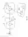 Fig. 11 - Optimized redirection for network architectures