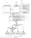 Fig. 02 - Discovery by operating system of information relating to adapter functions accessible to the operating system