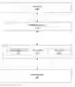 Fig. 01 - Write aggregation using optional I/O requests